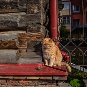 Томск Tomsk - изображение 5